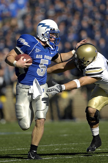 其技术水平 其技术水平